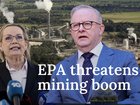 NEWS WORTHY: Environmental law shift threatens WA plant key in $13b deal