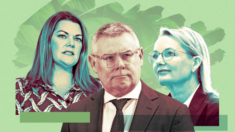 Environment Minister Murray Watt and Labor’s Nature Positive 2.0 legislation is under assault from the Greens’ Sarah Hanson-Young and Opposition leader Sussan Ley.
