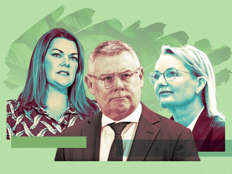 Environment Minister Murray Watt and Labor’s Nature Positive 2.0 legislation is under assault from the Greens’ Sarah Hanson-Young and Opposition leader Sussan Ley.