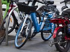 Man killed after alleged e-bike hit-and-run on quiet Sydney walkway.