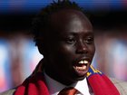 Gout Gout won’t compete in the individual sprint events at his final high school athletics carnival.