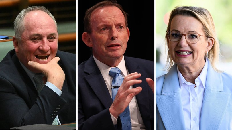 Former prime minister Tony Abbott has urged the Coalition to scrap its net zero pledge.
