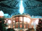 Independence Day.