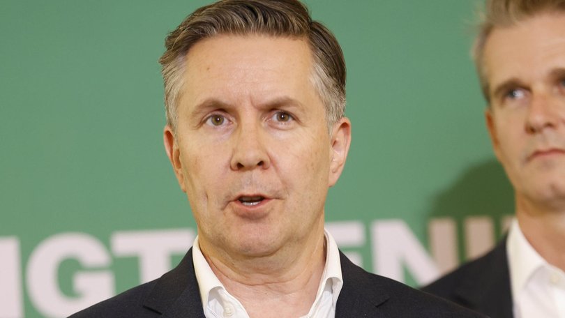 The Pharmacy Guild of Australia has called on Health Minister Mark Butler to lower the maximum PBS co-payment from $31.90 to $19.