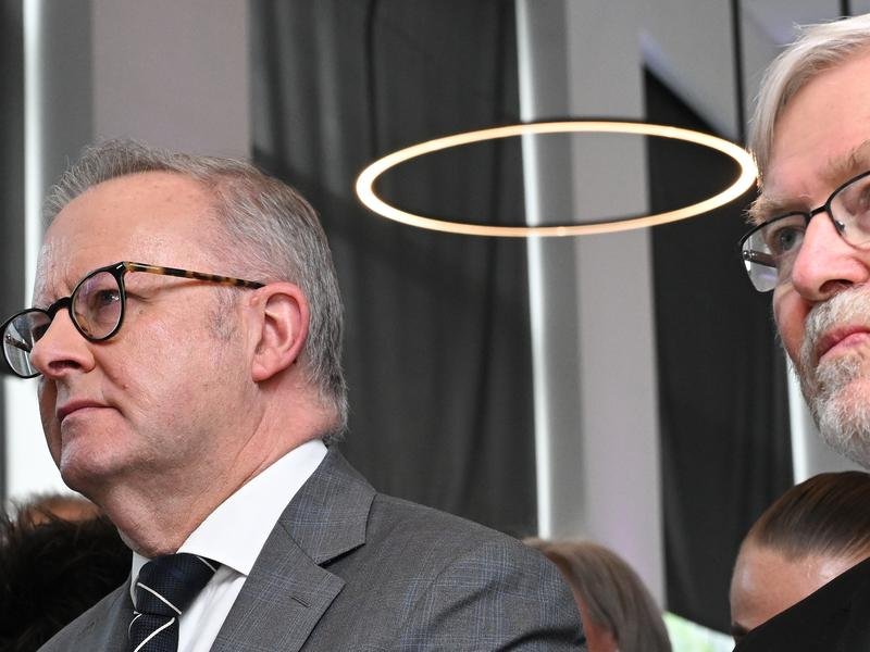 Anthony Albanese has backed in Kevin Rudd.