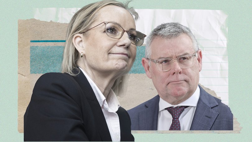 Sussan Ley wants to split the Albanese Government’s long-awaited overhaul of environmental laws. Murray Watt has dismissed that as a “silly idea”.