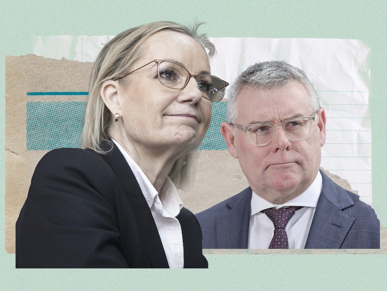 Sussan Ley wants to split the Albanese Government’s long-awaited overhaul of environmental laws. Murray Watt has dismissed that as a “silly idea”. 