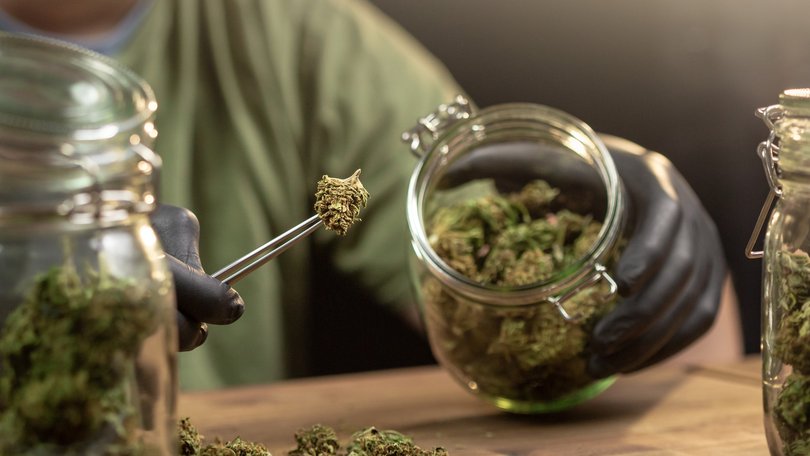 Driving under the influence of marijuana could soon become legal in Australia’s most populated state.