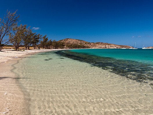 A woman has died after being left stranded on Lizard Island after a cruise ship left her behind.