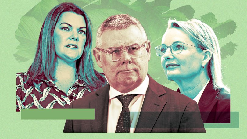 Environment Minister Murray Watt is in negotiations with the Greens’ Sarah Hanson-Young and Opposition leader Sussan Ley.