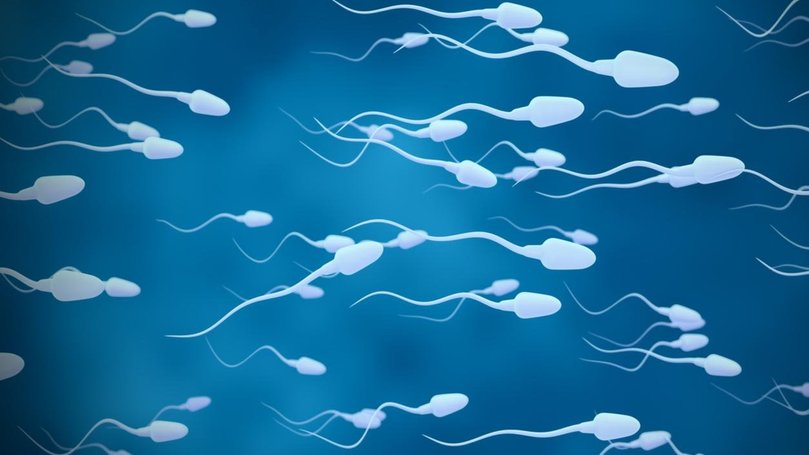 AI can spot healthy sperm.