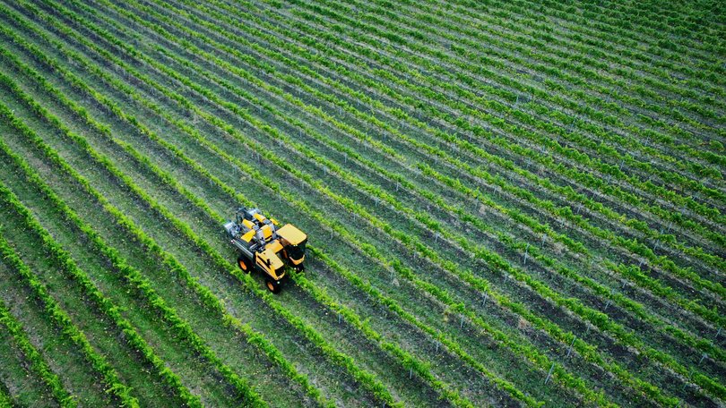 Once Victoria’s leading grape-growing region, it’s known for boutique cool climate wines like chardonnay and pinot noir, offered at over 40 cellar doors.