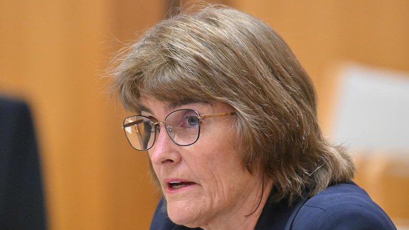Reserve Bank governor Michele Bullock says she is not overly concerned by the latest unemployment figures.