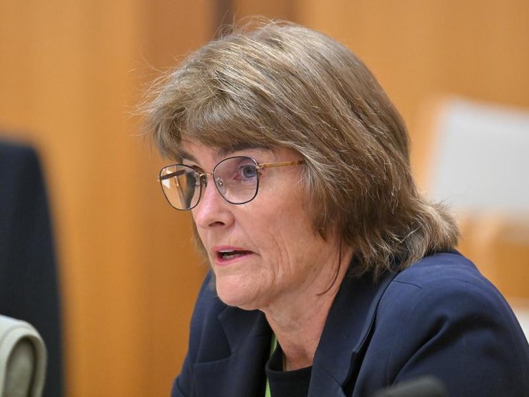 Reserve Bank governor Michele Bullock says she is not overly concerned by the latest unemployment figures.