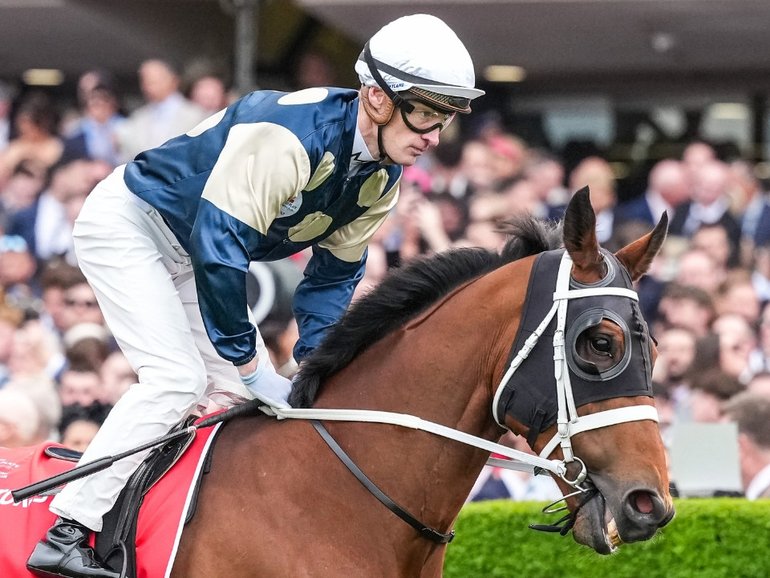 Buckaroo will race in the Melbourne Cup.