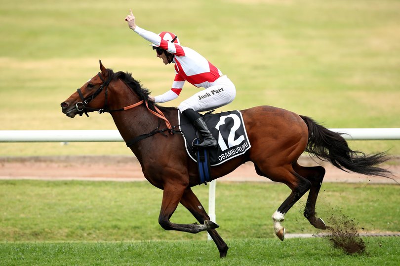 Obamburumai wins the 2023 Golden Eagle.