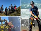 Dog rescued from cliff face by firefighters.