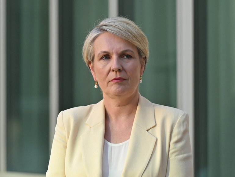The inquiry comes as Australia’s yearly report into domestic violence was tabled in Parliament by Social Services Minister Tanya Plibersek.