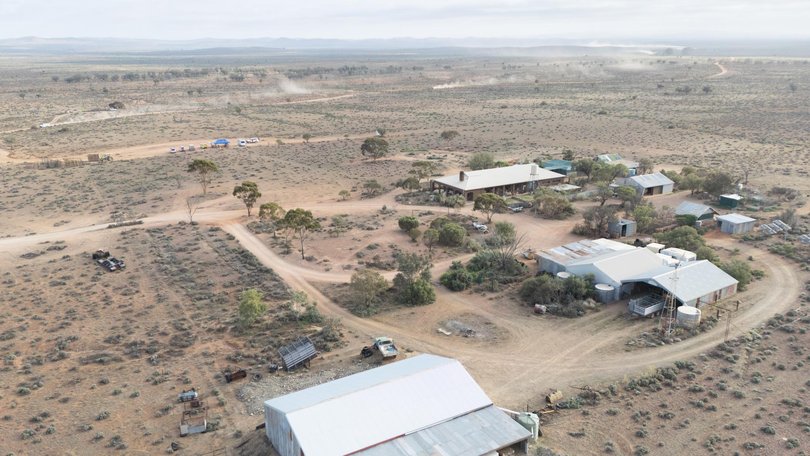 Gus went missing from his family’s sheep station. Picture: Tim Joy