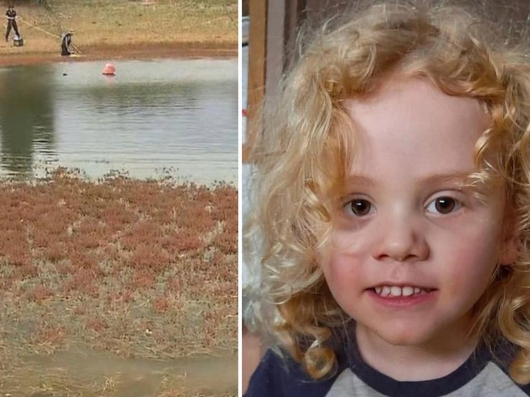 Police have returned to the property where Gus Lamont vanished in a renewed search effort.
