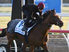James McDonald riding Meydaan during a trackwork session at Werribee Racecourse on October 30, 2025 in Melbourne, Australia. (Photo by Vince Caligiuri/Getty Images)