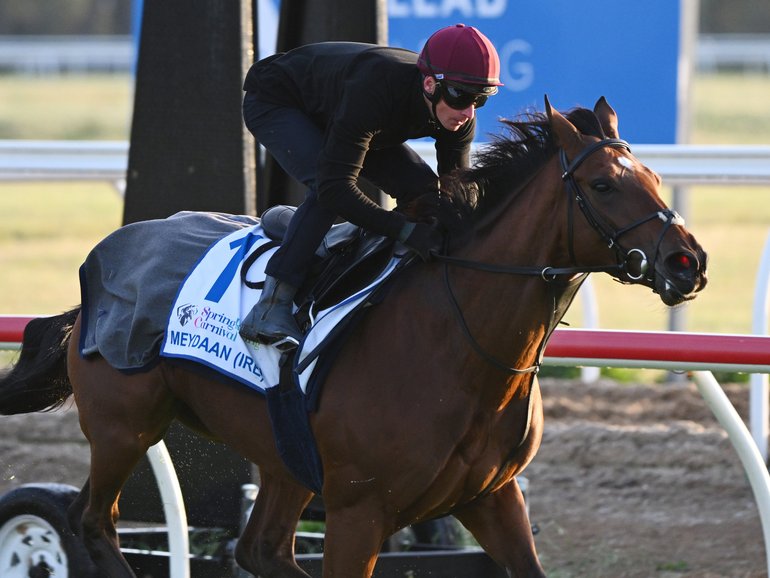 James McDonald riding Meydaan during a trackwork session at Werribee Racecourse on October 30, 2025 in Melbourne, Australia. (Photo by Vince Caligiuri/Getty Images)