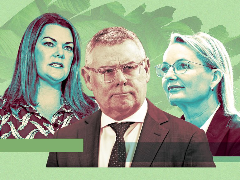 Environment Minister Murray Watt is willing to give ground on some measures in negotiations with the Greens’ Sarah Hanson-Young and Opposition leader Sussan Ley.