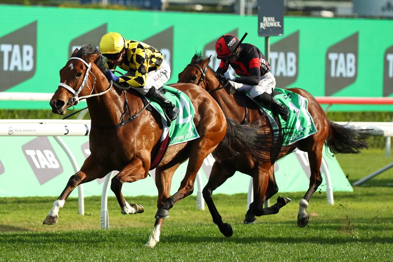 Autumn Glow is undefeated heading into tomorrow’s race.