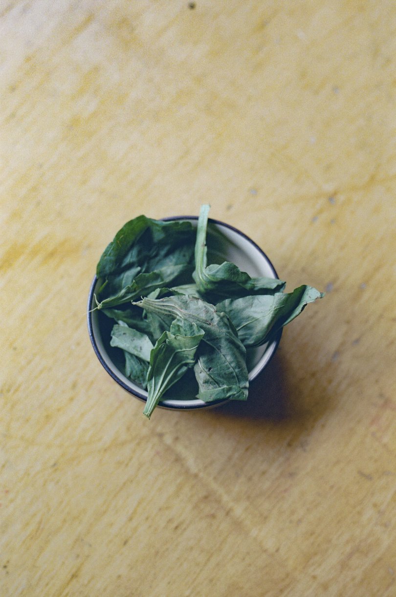 Edible weeds foraged in Central Park, in New York, Sept. 29, 2025.