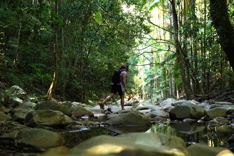 A woman hiking through a creekbed in the rainforest in Springbrook National Park.