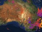 Lightning map of Australia 31st October/ 1st Nov 2025.Lightningmaps.
