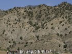 Afghanistan's Hindu Kush region has been rocked by  a strong earthquake measuring 6.3 in magnitude.
