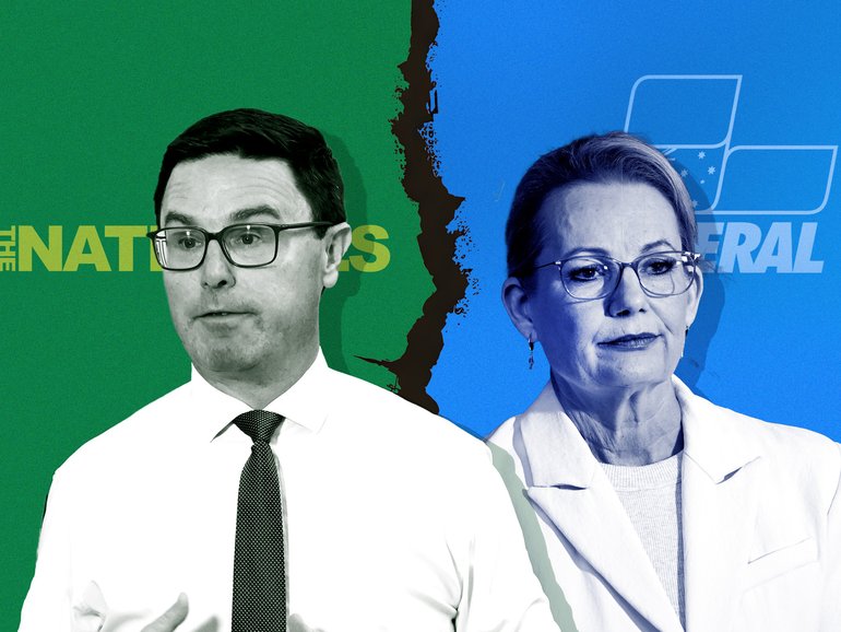 Sussan ley says the Liberals and Nationals need to show maturity as they both grapple with their positions on net zero.