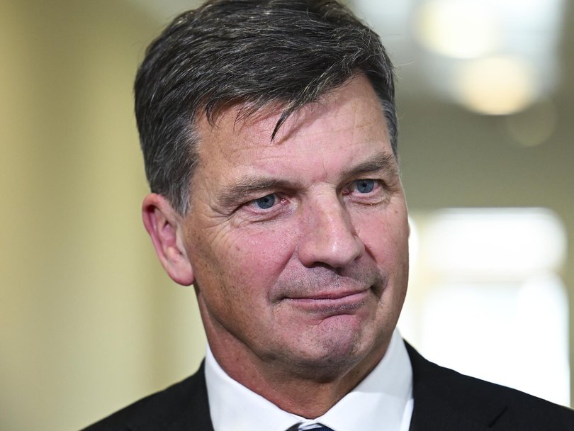 Defence spokesman Angus Taylor is one of the leading advocates against the net zero policy in the Liberal Party.