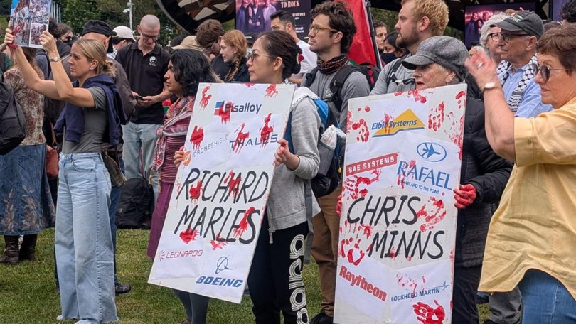 Pro-Palestine protesters in Darling Harbour.