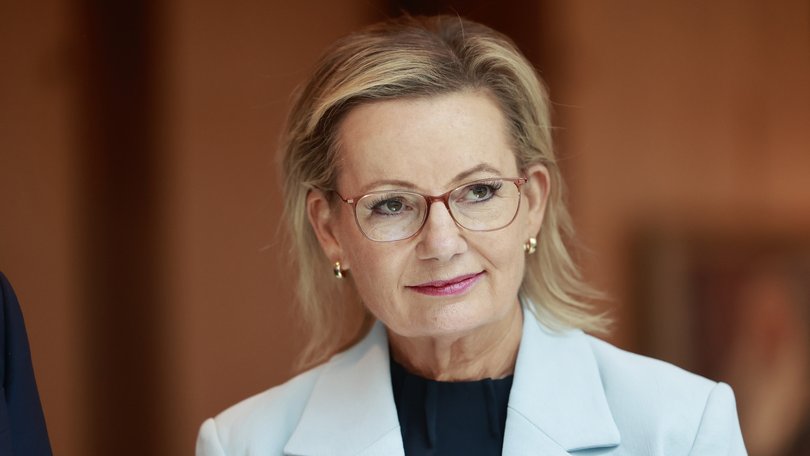 Opposition Leader Sussan Ley is attempting to fight off a leadership push.