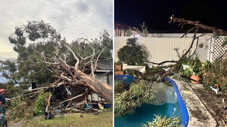 Sydney woke to widespread damage after a fierce spring storm swept through the city on Monday night.