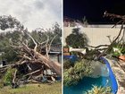Sydney woke to widespread damage after a fierce spring storm swept through the city on Monday night.