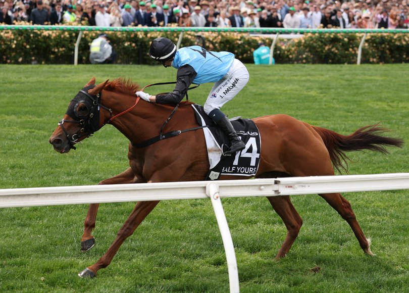 Jamie Melham rides #14 Half Yours to Melbourne Cup glory.