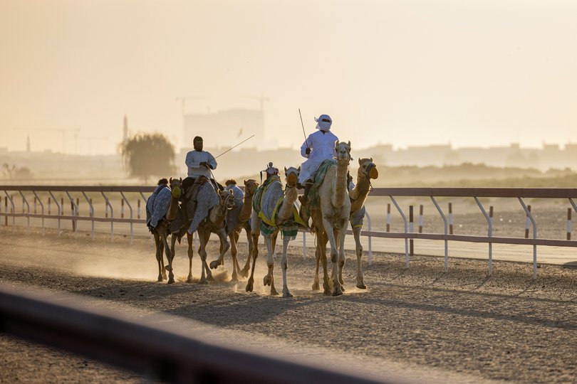 An early-morning training run at Al Tallah Camel Racecourse in Ajman.