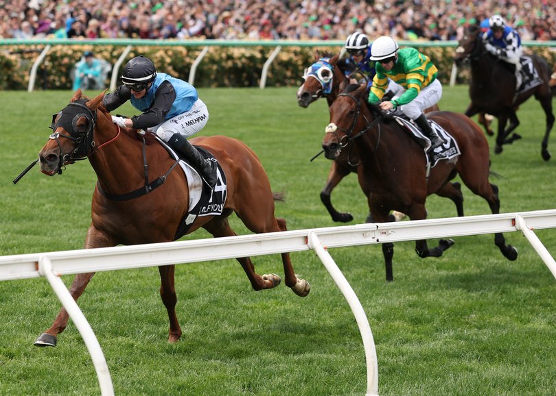 Jamie Melham rides Half Yours to win the Melbourne Cup.