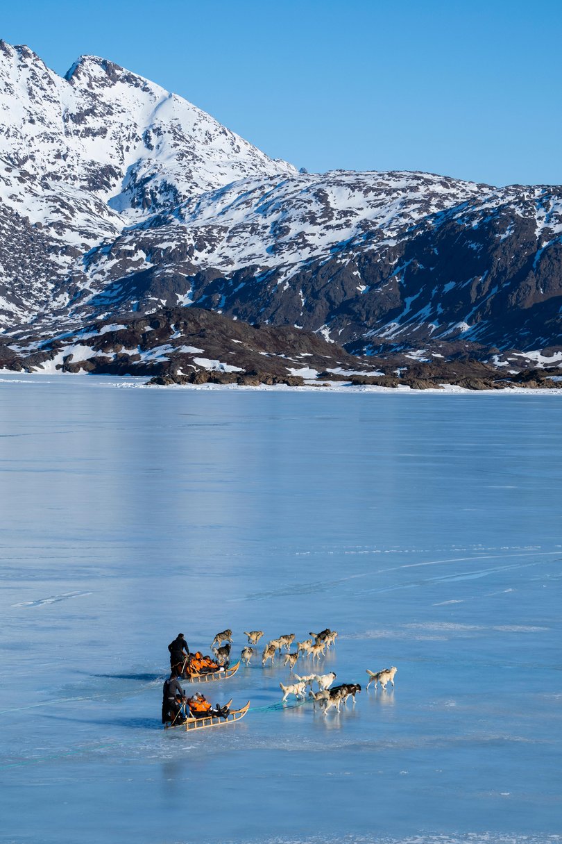 South-Eastern Greenland, Sermersooq municipality, Ammassalik Region, Tasiilaq. Dog sledding on icy fjord.