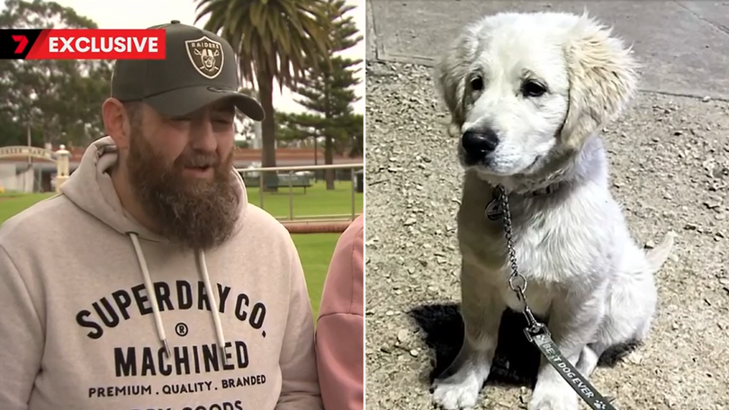 James and Sarah Somerville’s golden retriever puppy Walter was killed by a lightning strike.