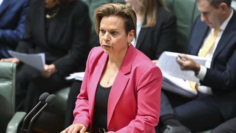 Attorney-General Michelle Rowland says Labor has ‘acted decisively’.