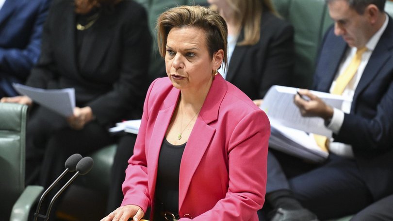 Attorney-General Michelle Rowland says Labor has ‘acted decisively’. Picture: NewsWire / Martin Ollman