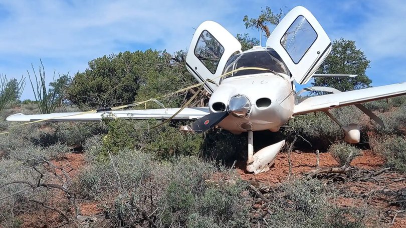 The couple survived by depolying a parachute attached to the plane.