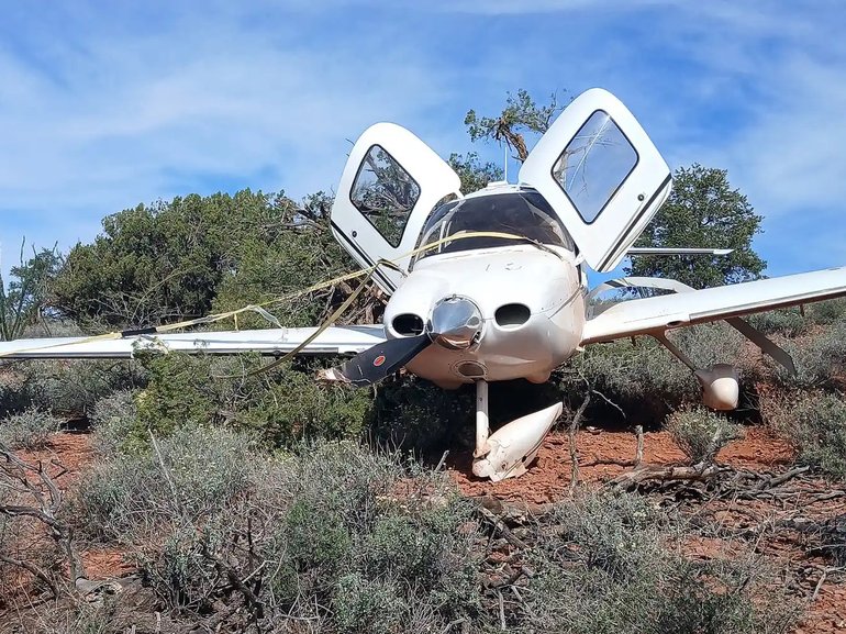The couple survived by depolying a parachute attached to the plane.