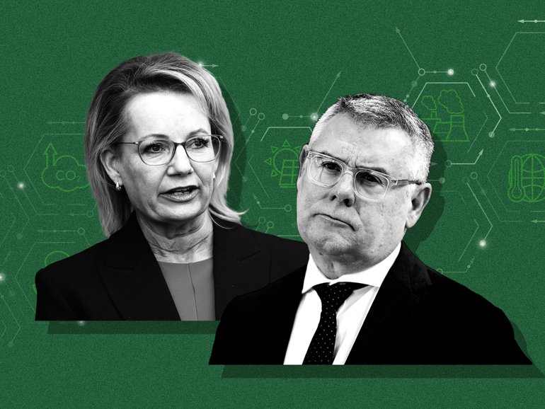 Sussan Ley, Murray Watt