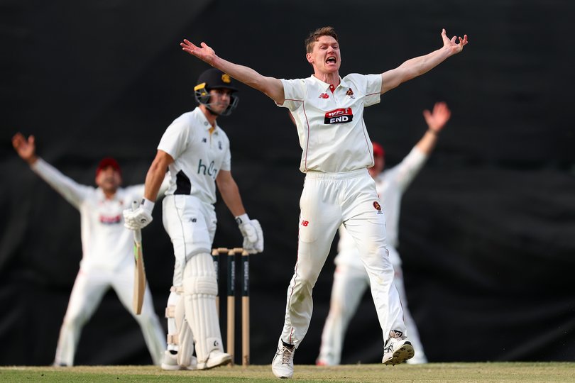 Brendan Doggett of South Australia appealssuccessfully for the wicket of Joel Curtis.