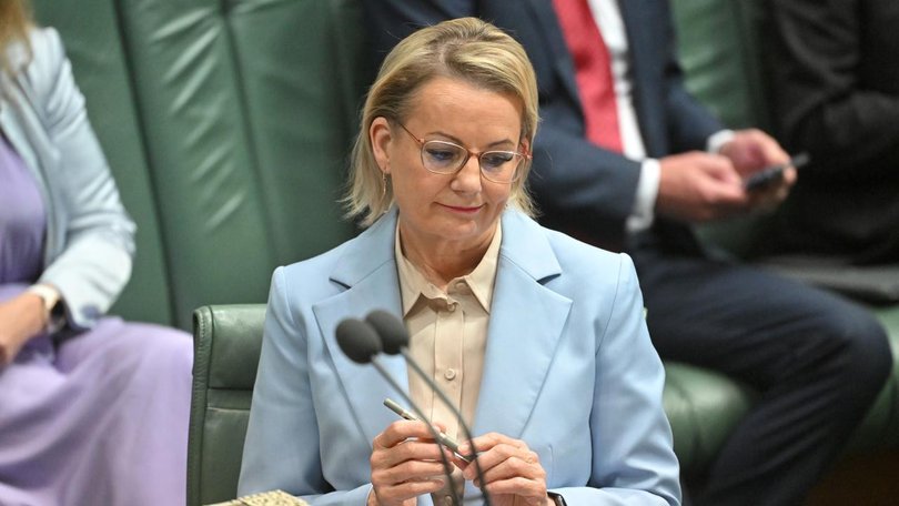 Sussan Ley hasn't shown any clear strategy as Liberal leader, John Hewson says. (Mick Tsikas/AAP PHOTOS)